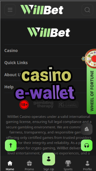 Casino E-Wallet - Digital Payment Casino Options-casinoorder.vip
